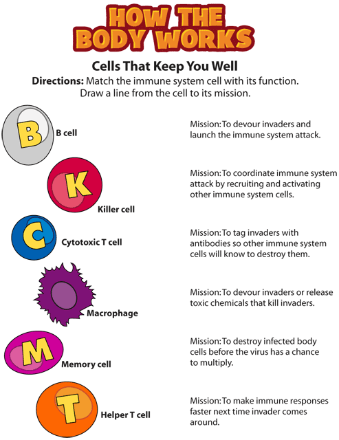 HTBW immune gif. This page was designed to be printed. We are working on creating an accessible version.