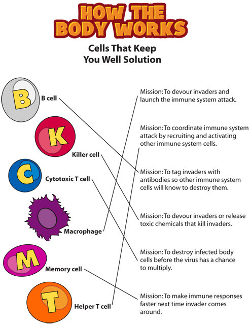 htbw immune solutions gif. This page was designed to be printed. We are working on creating an accessible version.