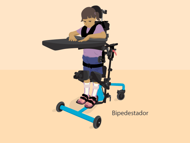 Bipedestador