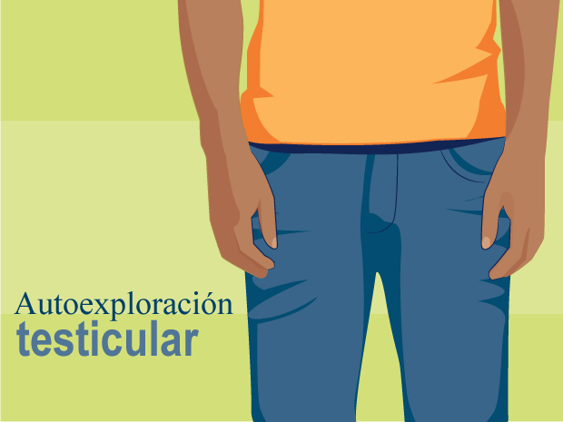 La autoexploración testicular es una forma fácil de que los chicos se exploren sus propios testículos para asegurarse de que no contienen bultos o protuberancias inusuales, que podrían ser el primer signo de un cáncer de testículo.

Trata de hacerte una autoexploración testicular una vez al mes a fin de familiarizarte con el tamaño y la forma de tus testículos. Esto te facilitará descubrir la presencia de algo diferente o anormal en esa área.