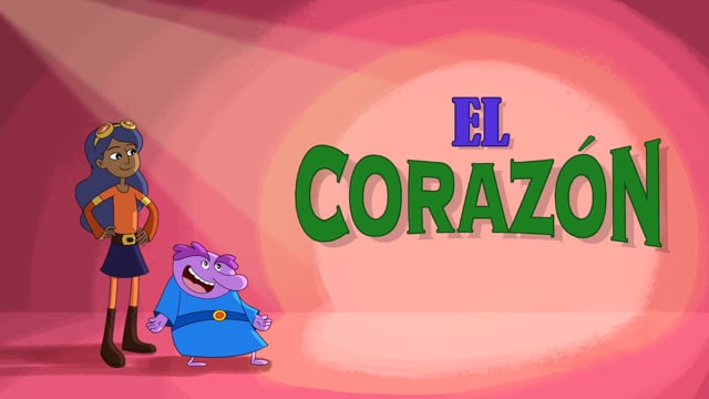 El corazón y el aparato circulatorio