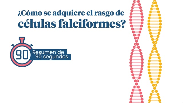 ¿Cómo se adquiere el rasgo de células falciformes?